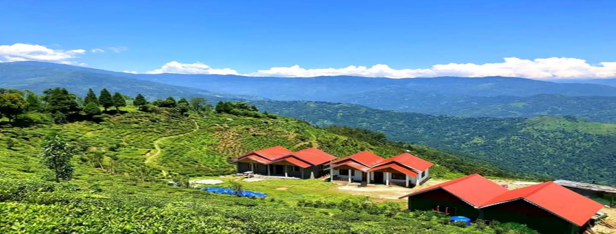 Image for Nomadic Homestay